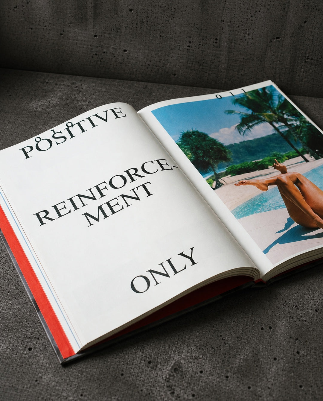 An open spread from SLF TTLD photography book by Troy Freyee